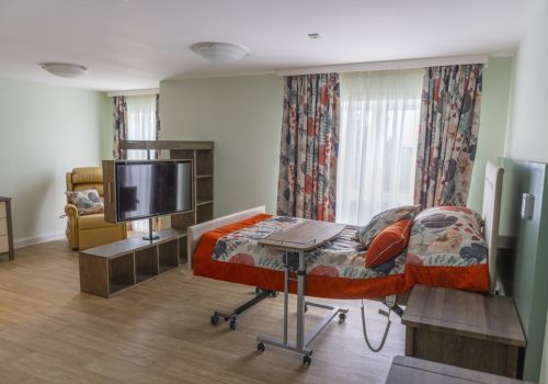 Physiotheraphy-Placement-Options